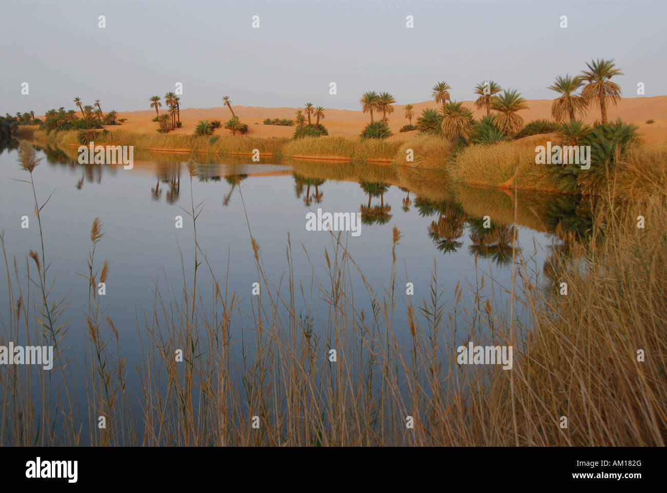 Umm al-Ma'a salt lake, Ubari desert, Libya Stock Photo