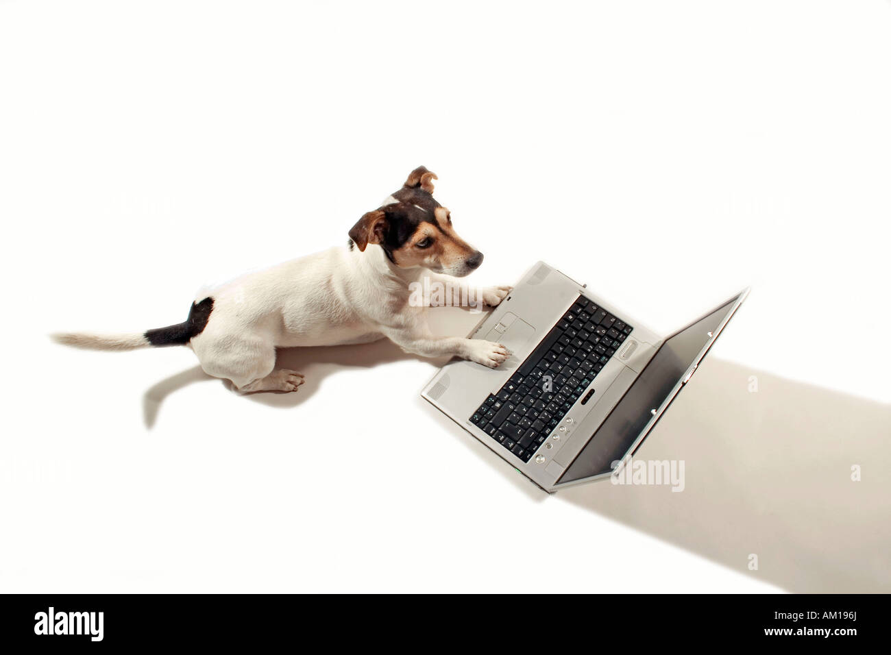 Farbfotografie High Resolution Stock Photography And Images Alamy