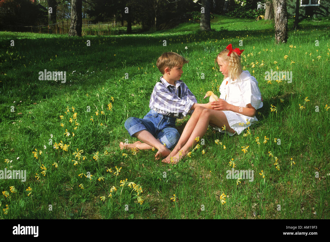 Boy and girl playing with baby duck in summer Stock Photo