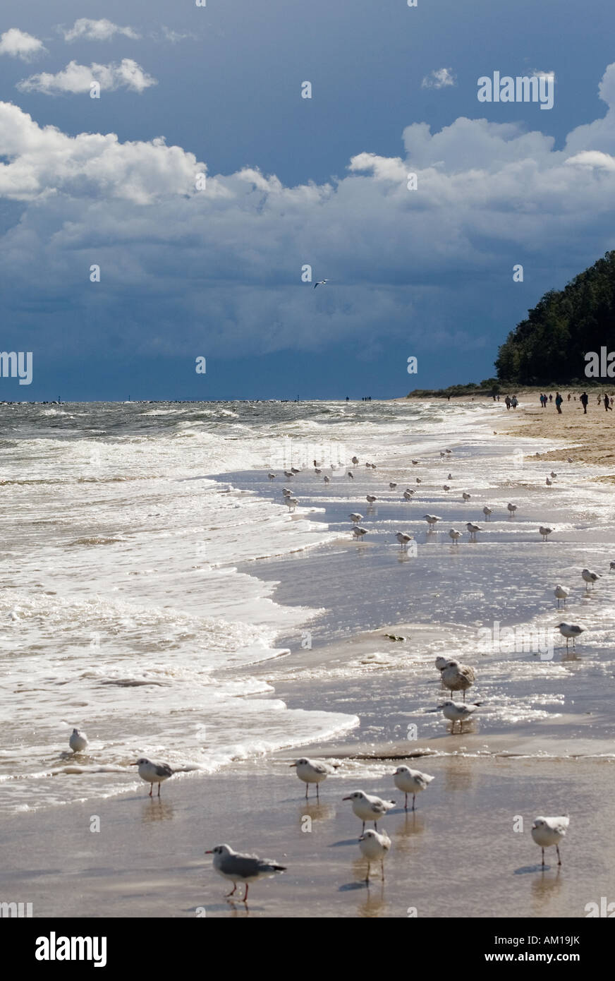 Koserow strand hi-res stock photography and images - Alamy