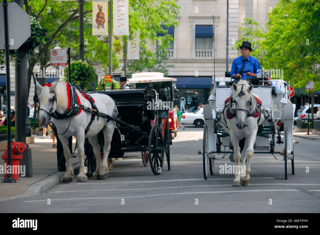 Horse carriage tours at the Water Tower Place in Downtown Chicago