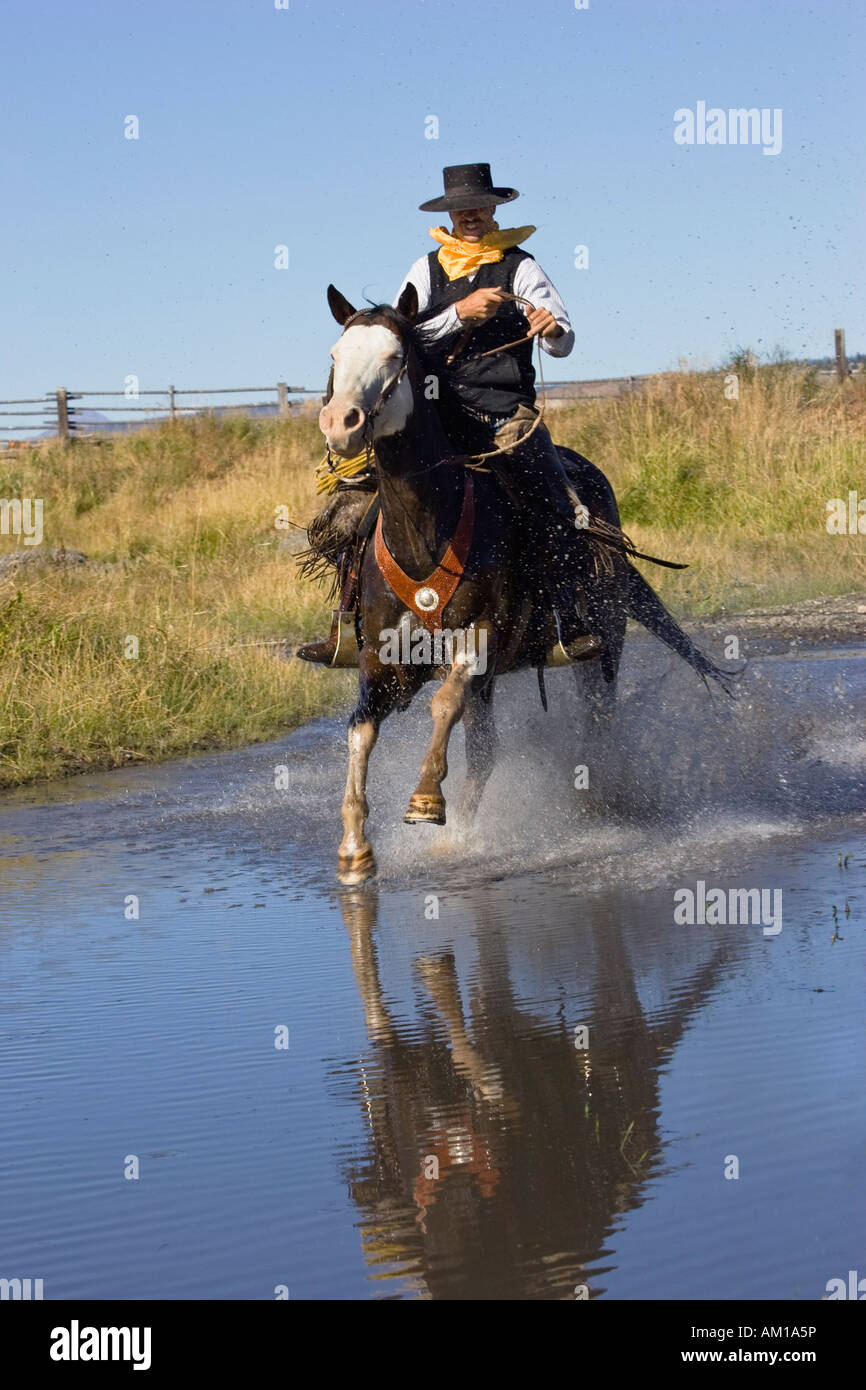 Cowboy riding in water, Oregon, USA Stock Photo
