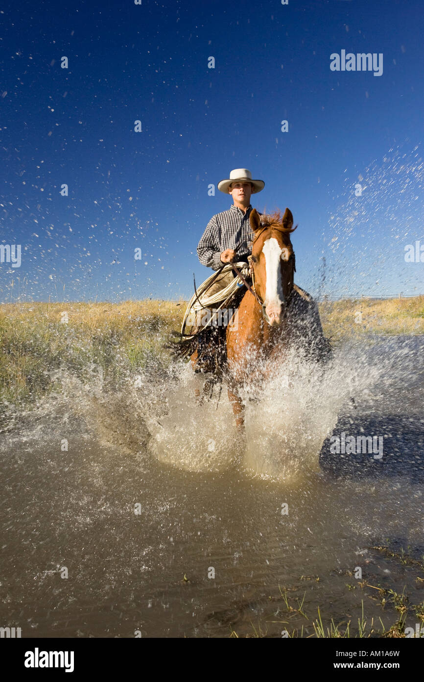 Cowboy riding in water, Oregon, USA Stock Photo