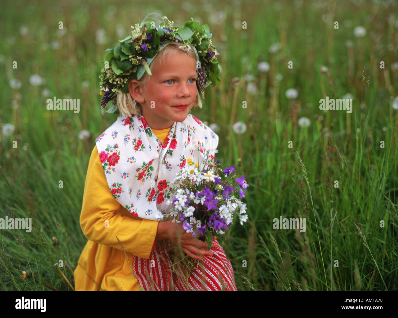Young Swedish girl in traditional Midsummer dress collecting wild flowers Stock Photo
