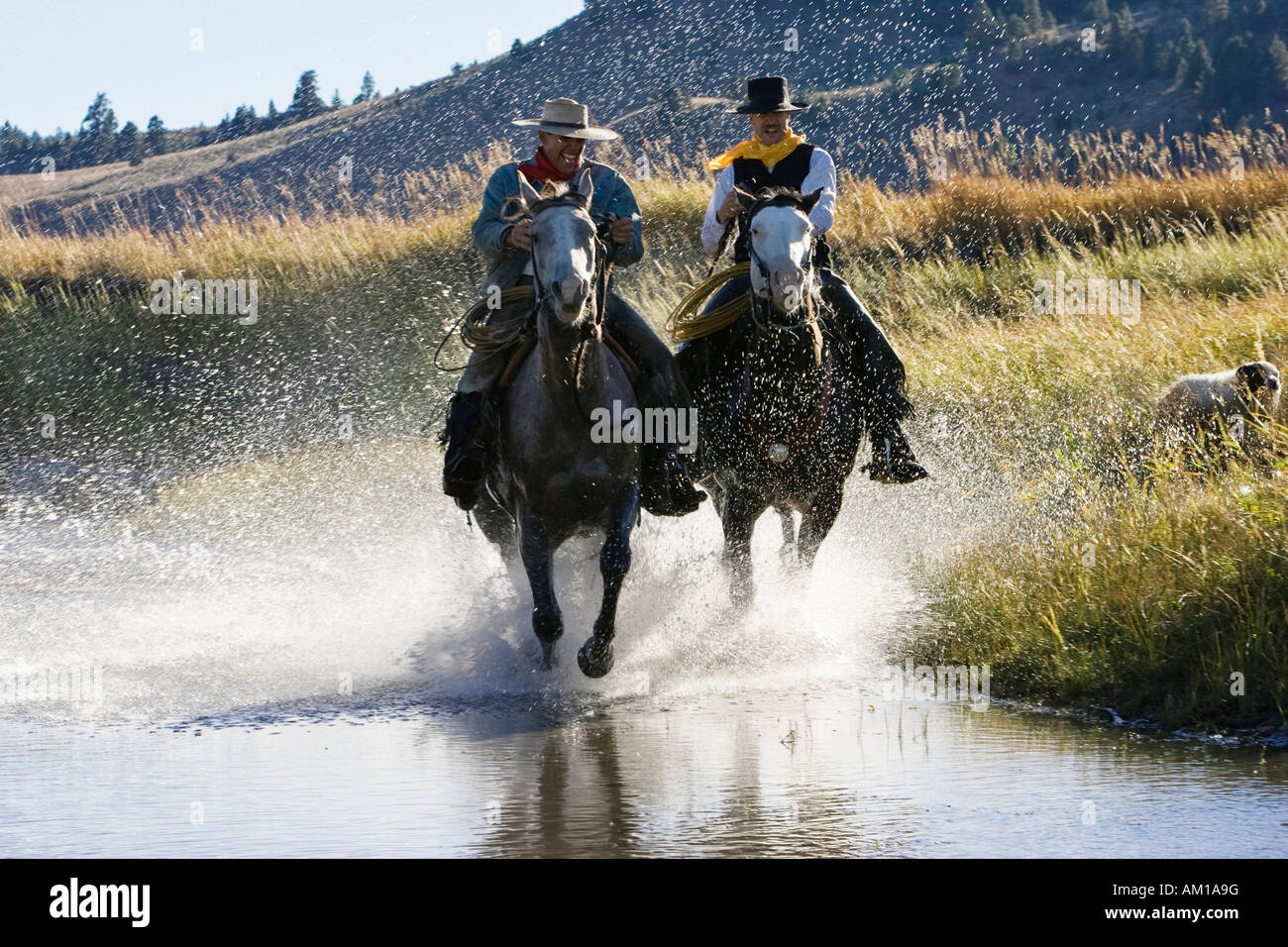 Cowboys riding in water, wildwest, Oregon, USA Stock Photo