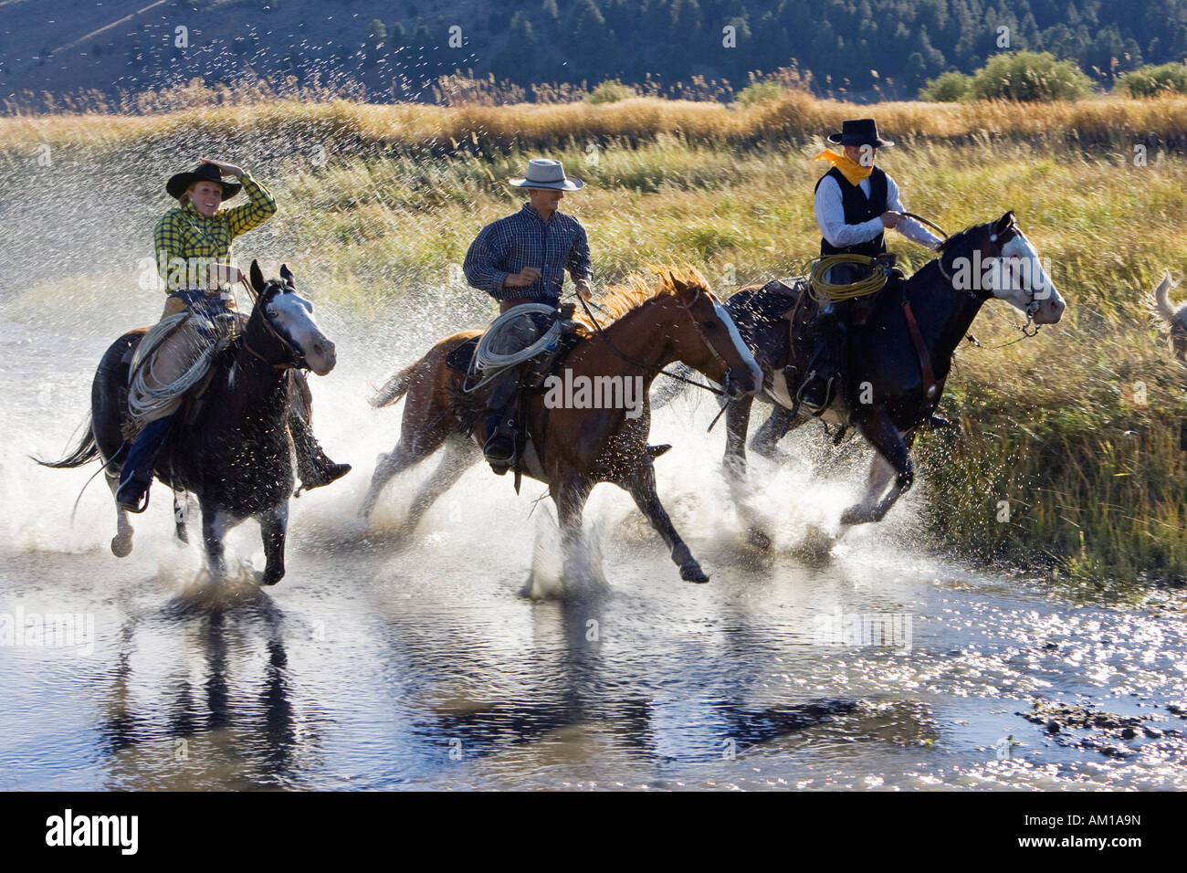 Cowboys riding in water, wildwest, Oregon, USA Stock Photo