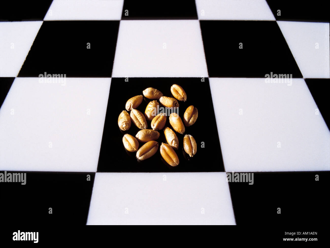 Chess board (checkerboard, cequerboard) with sixteen grains of wheat. Story (legend) of the Indian king Shihram and the wise ma Stock Photo