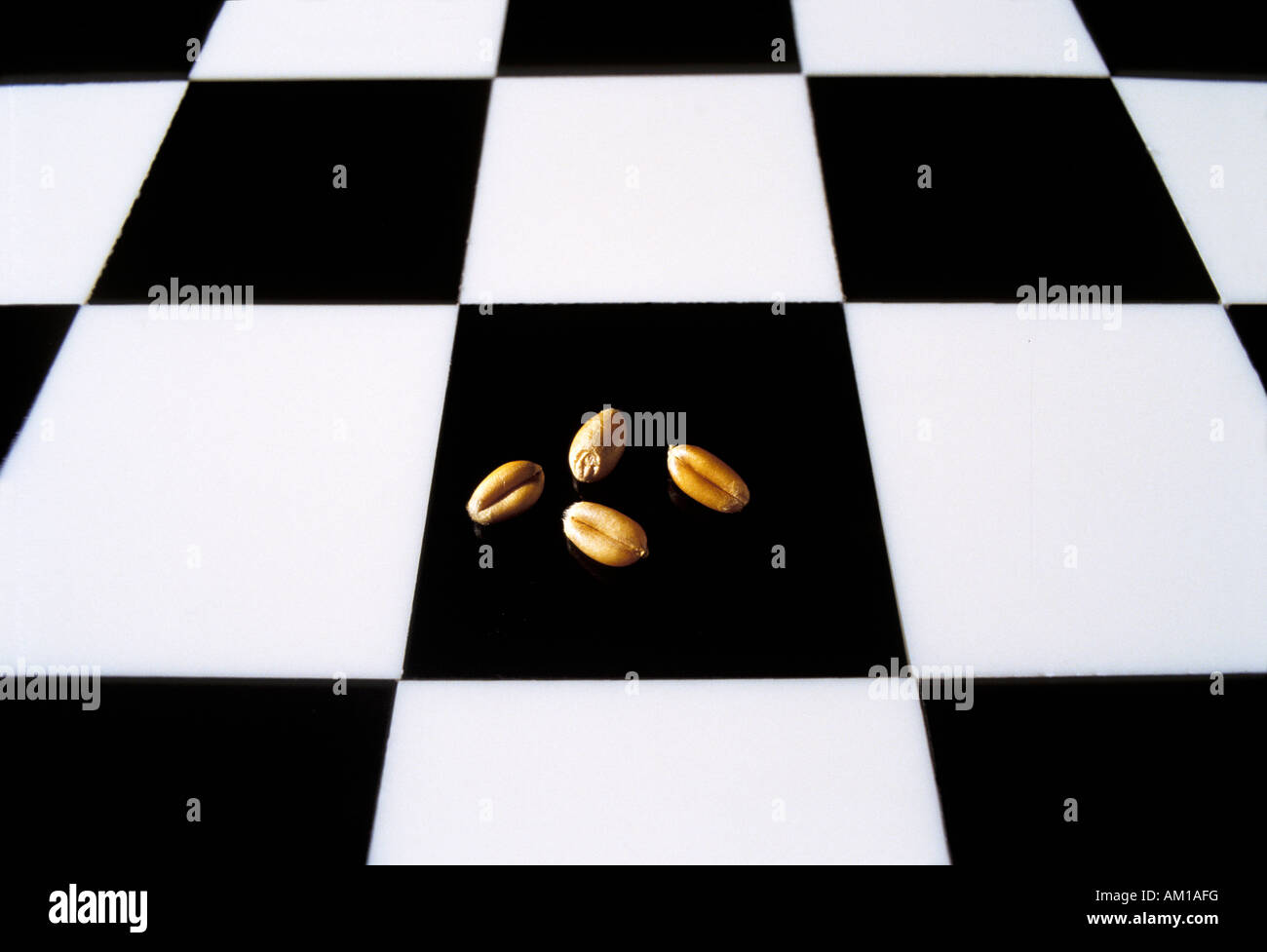 Chess board (checkerboard, cequerboard) with four grains of wheat. Story (legend) of the Indian
