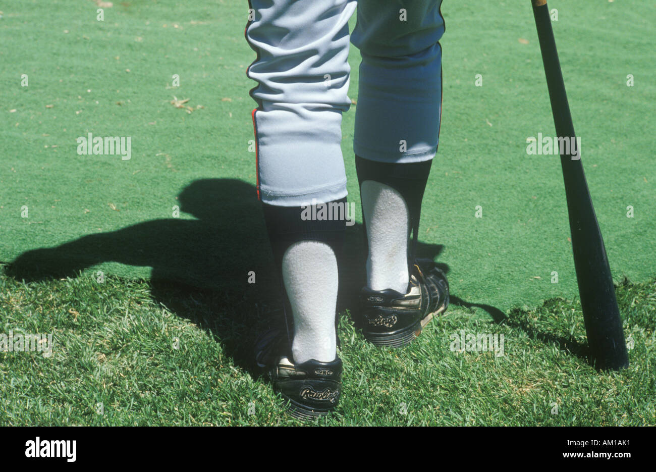Legs of a major league baseball player Stock Photo Alamy