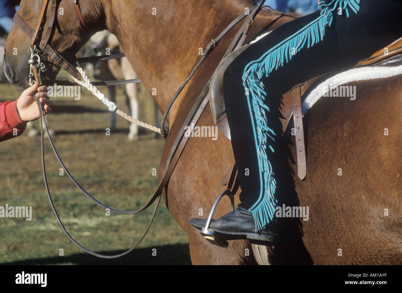 Close up of rider on horseback Quarter Horse Event East Corinth Vermont Stock Photo