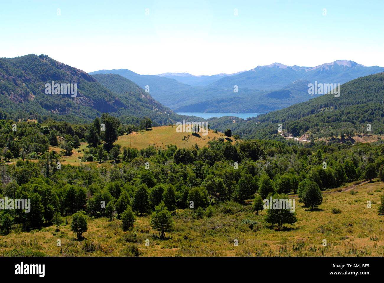 Landscape with Lago Lacar Nahuel Huapi National Park Near San Martin De Los Andes Patagonia Argentina Stock Photo