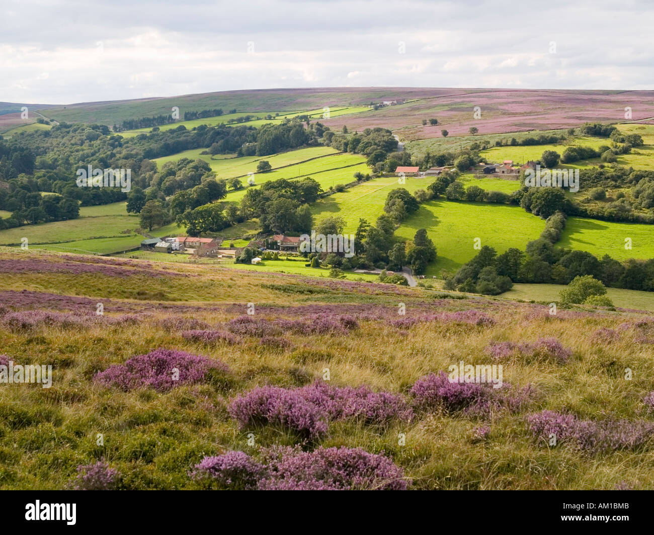 A farm in heather covered hills at Castleton in the North Yorkshire ...