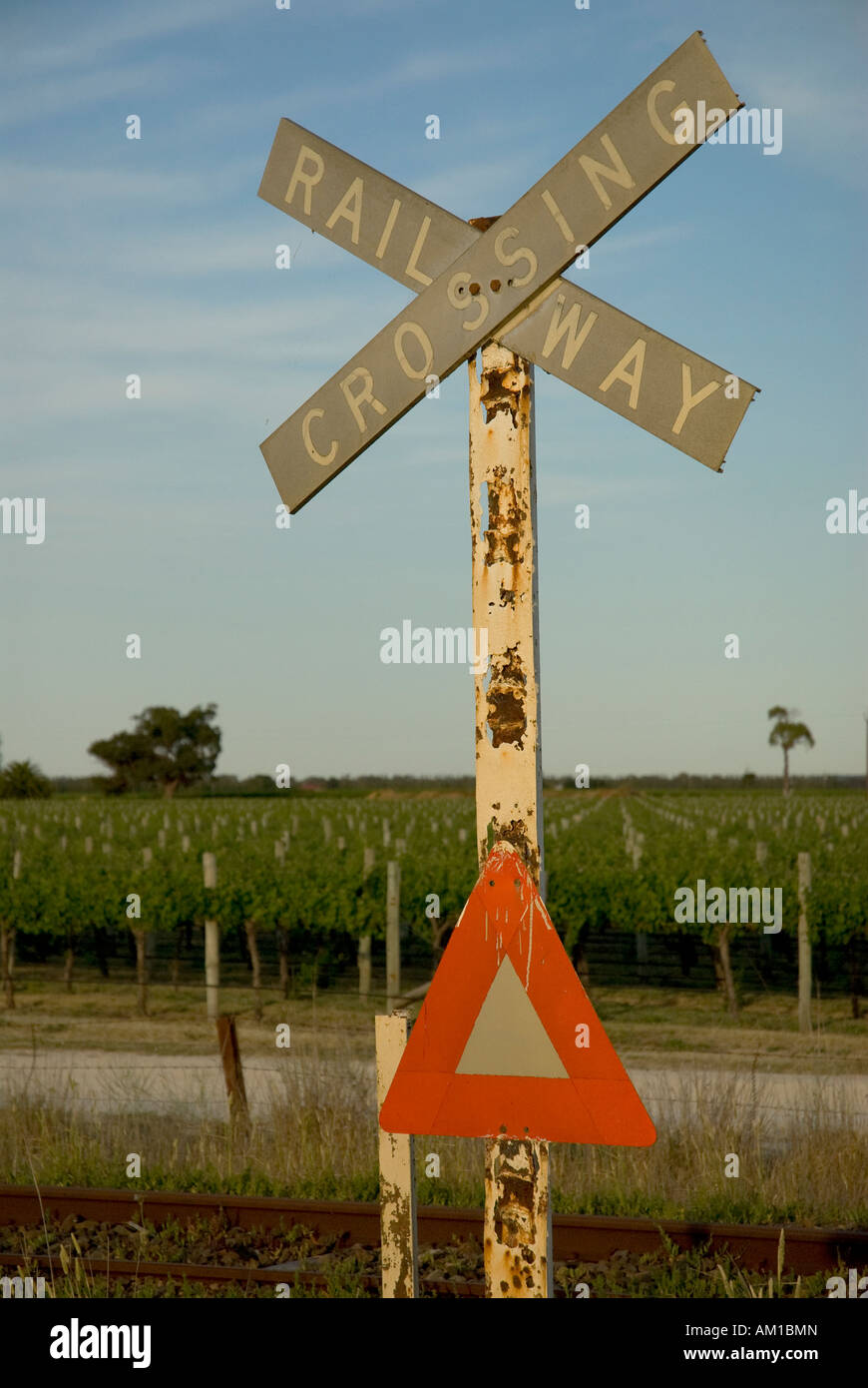 Former railway crossing, vineyard, Coonawarra, South Australia, Australia Stock Photo