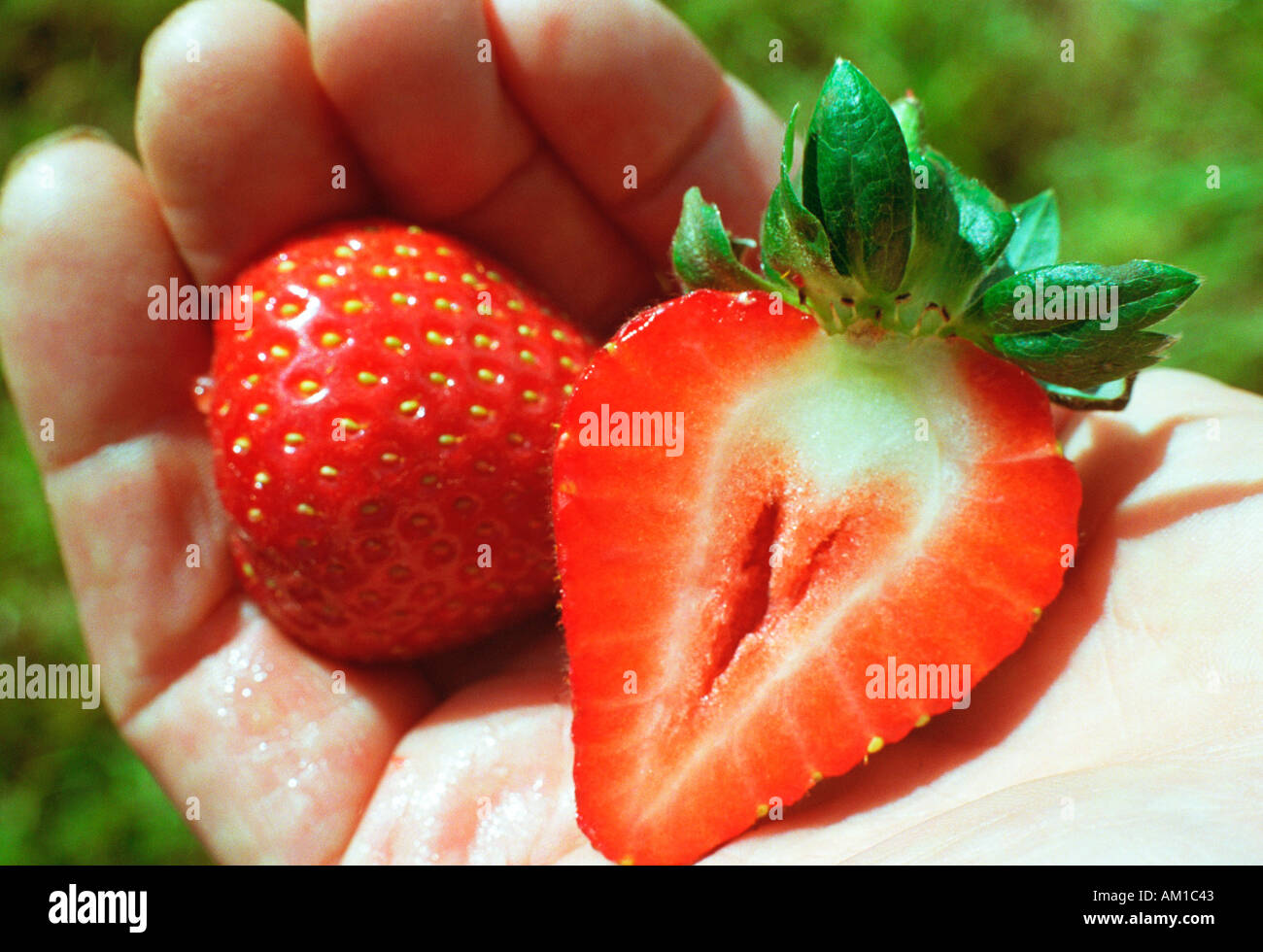 Half strawberry hi-res stock photography and images - Alamy
