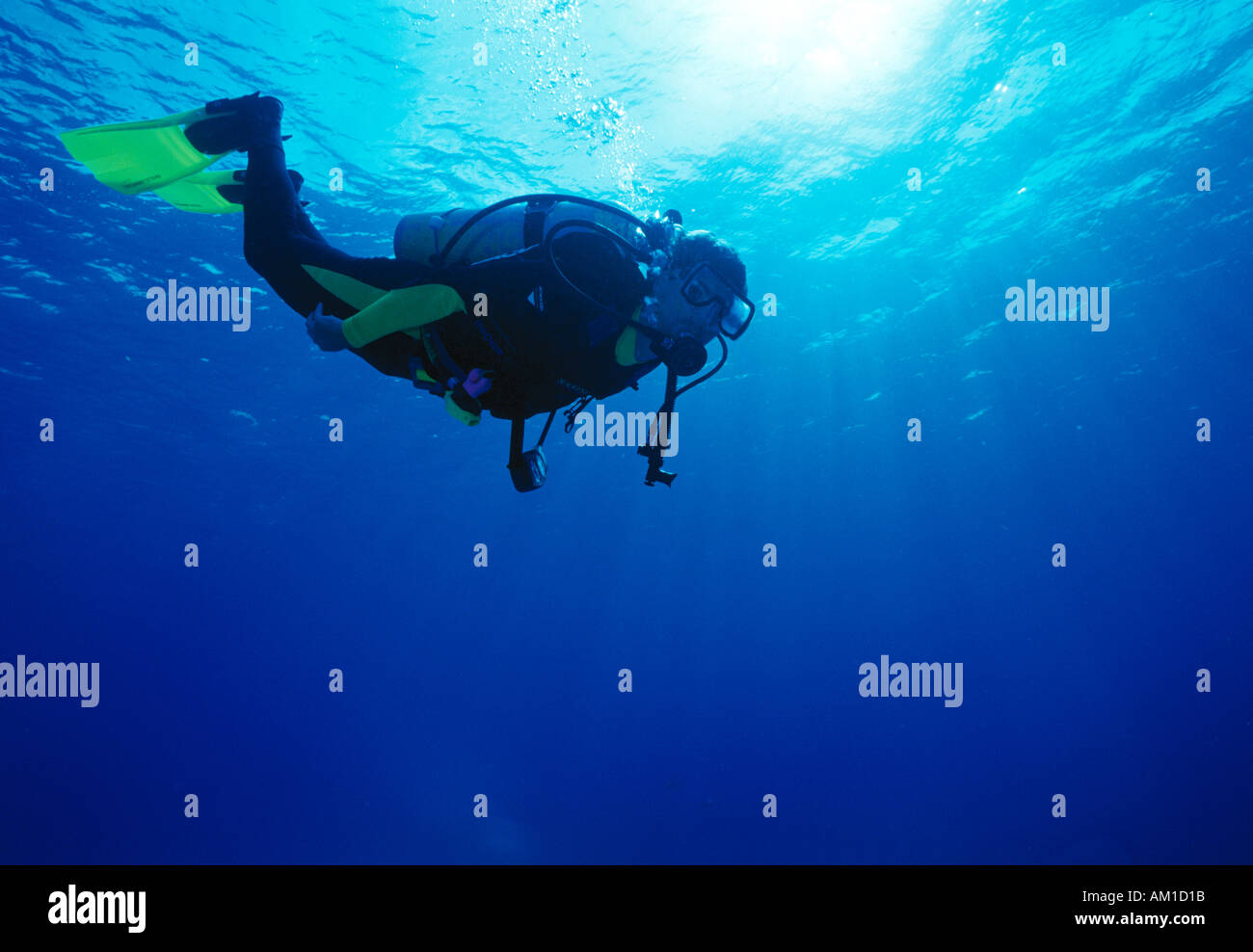 Caribbean Sea, Diver decending to dive Stock Photo
