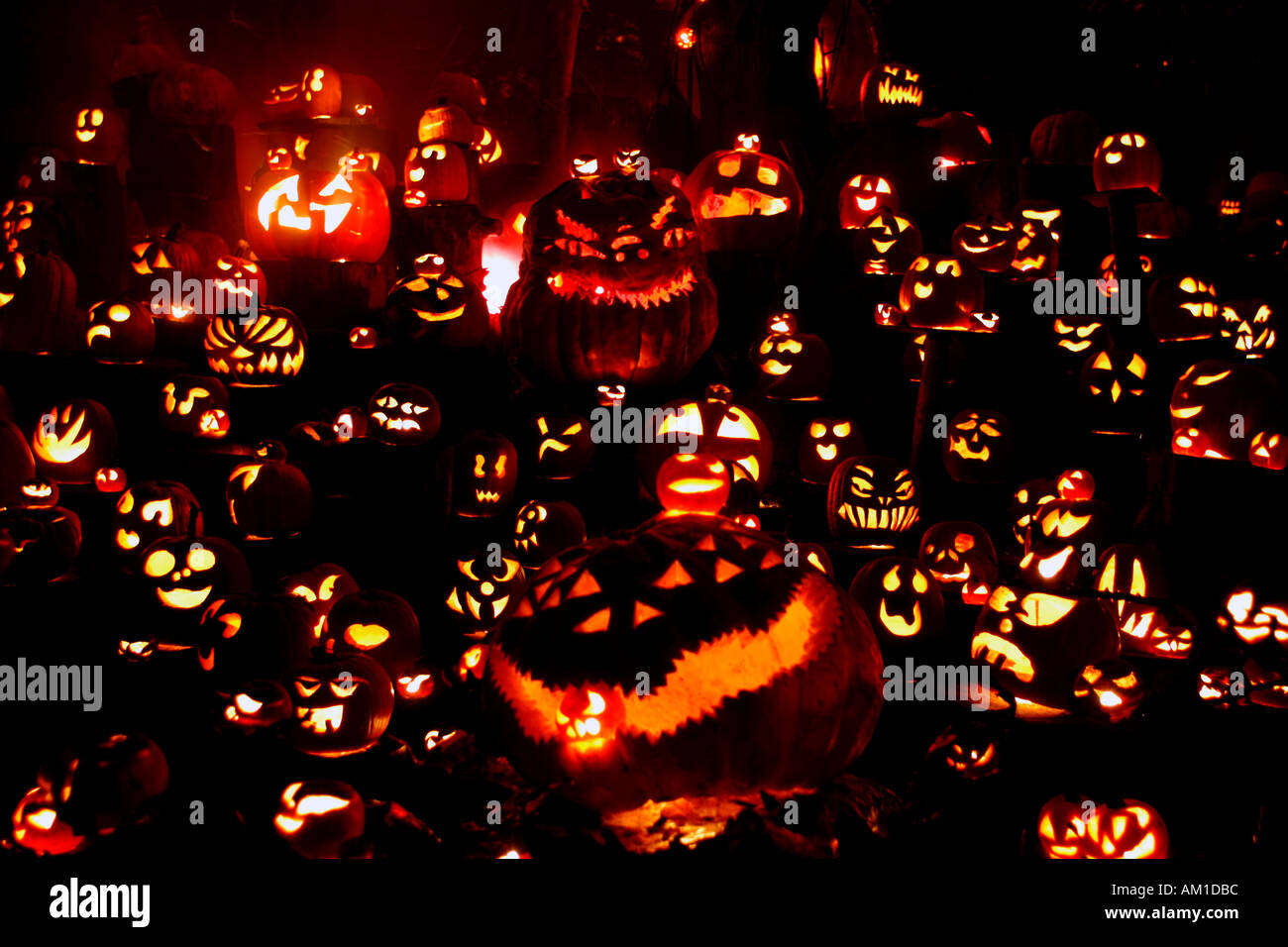 Jack O Lanterns at Halloween Spectacular Providence Zoo Providence