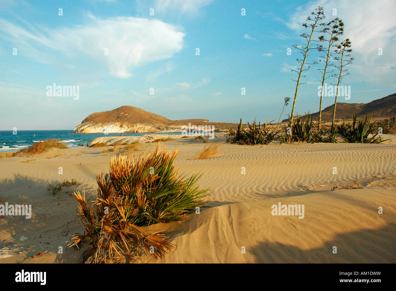 Genoveses beach CABO DE GATA NATURAL PARK Almeria province Andalusia Spain Stock Photo