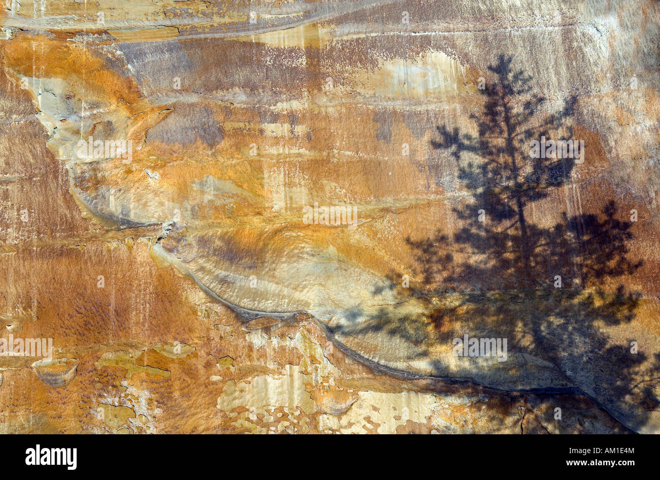 Detail Of Molasse Rocks At The Ueberlinger Steep Coast Lake Stock