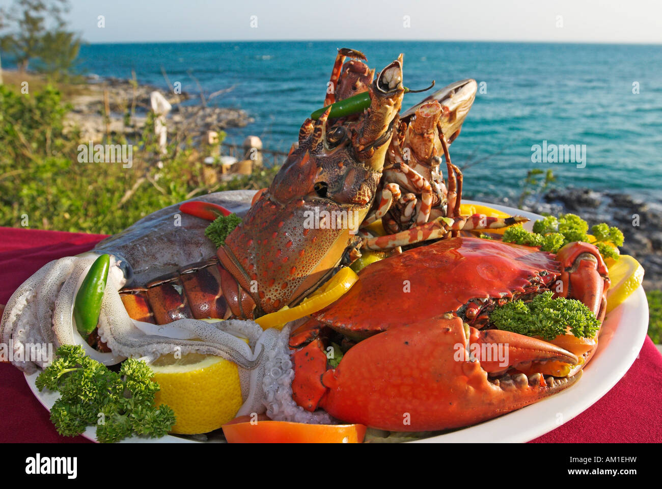 Seafood platter, Matemo Island Resort, Quirimbas Islands, Mozambique, Africa Stock Photo Alamy