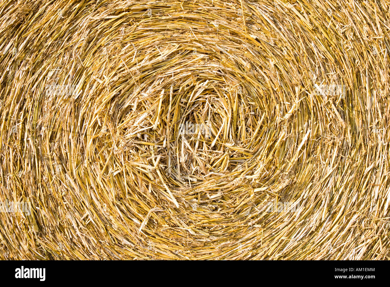 Bale of straw Stock Photo