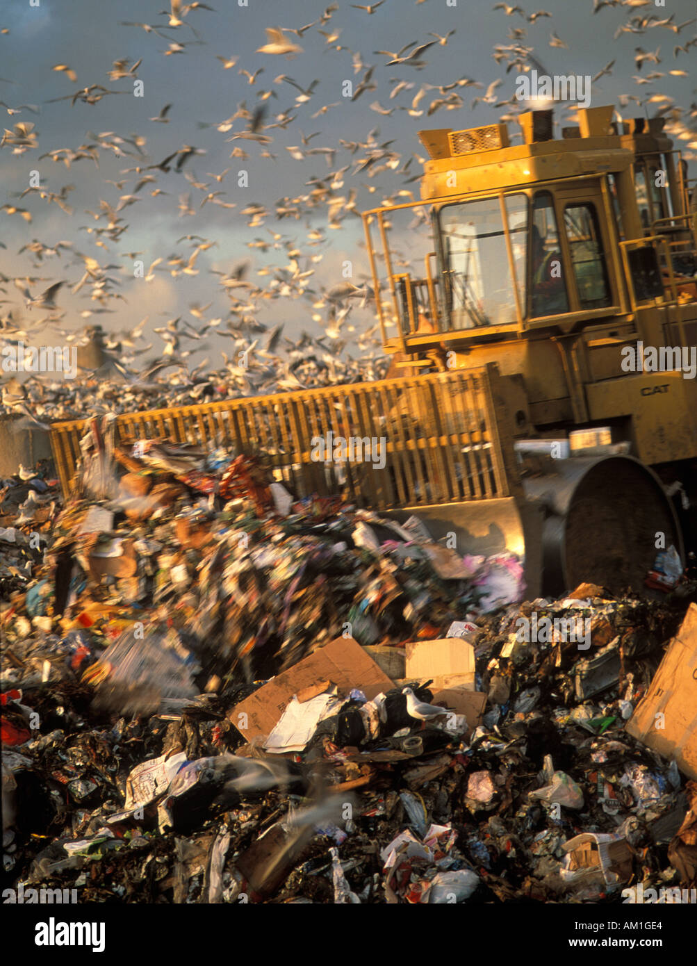 Bulldozer and Domestic Refuse Landfill Cheshire England Stock Photo - Alamy