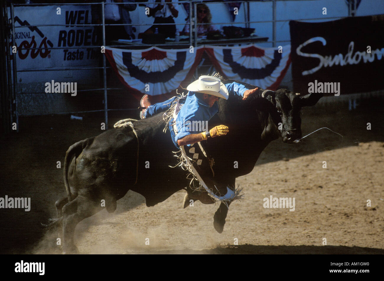 Bull Riding Earl Warren Fairgrounds Fiesta Rodeo Stock Horse Show Santa