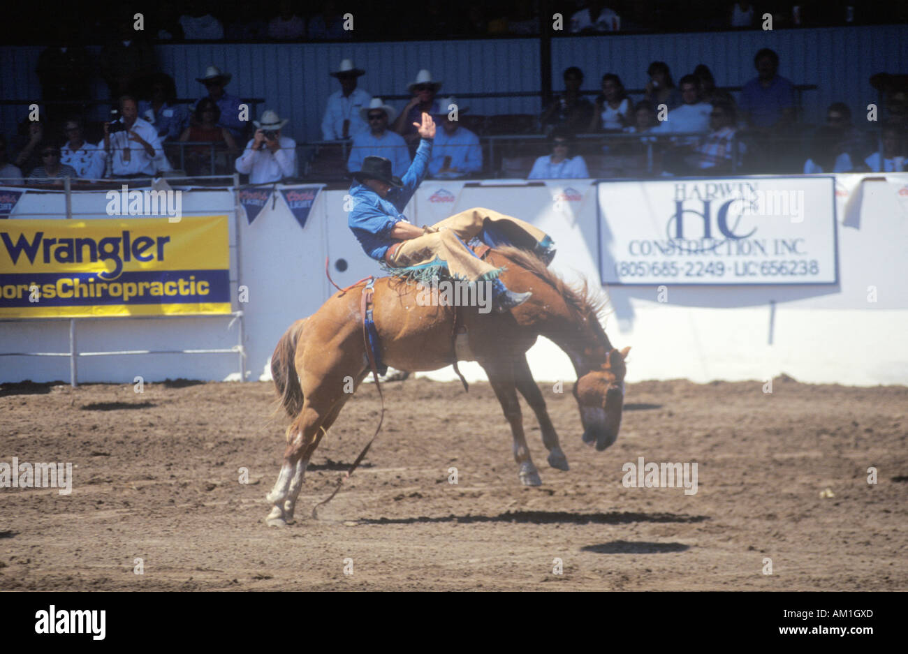 Saddle Bronco riding Santa Barbara Old Spanish Days Fiesta Rodeo Stock