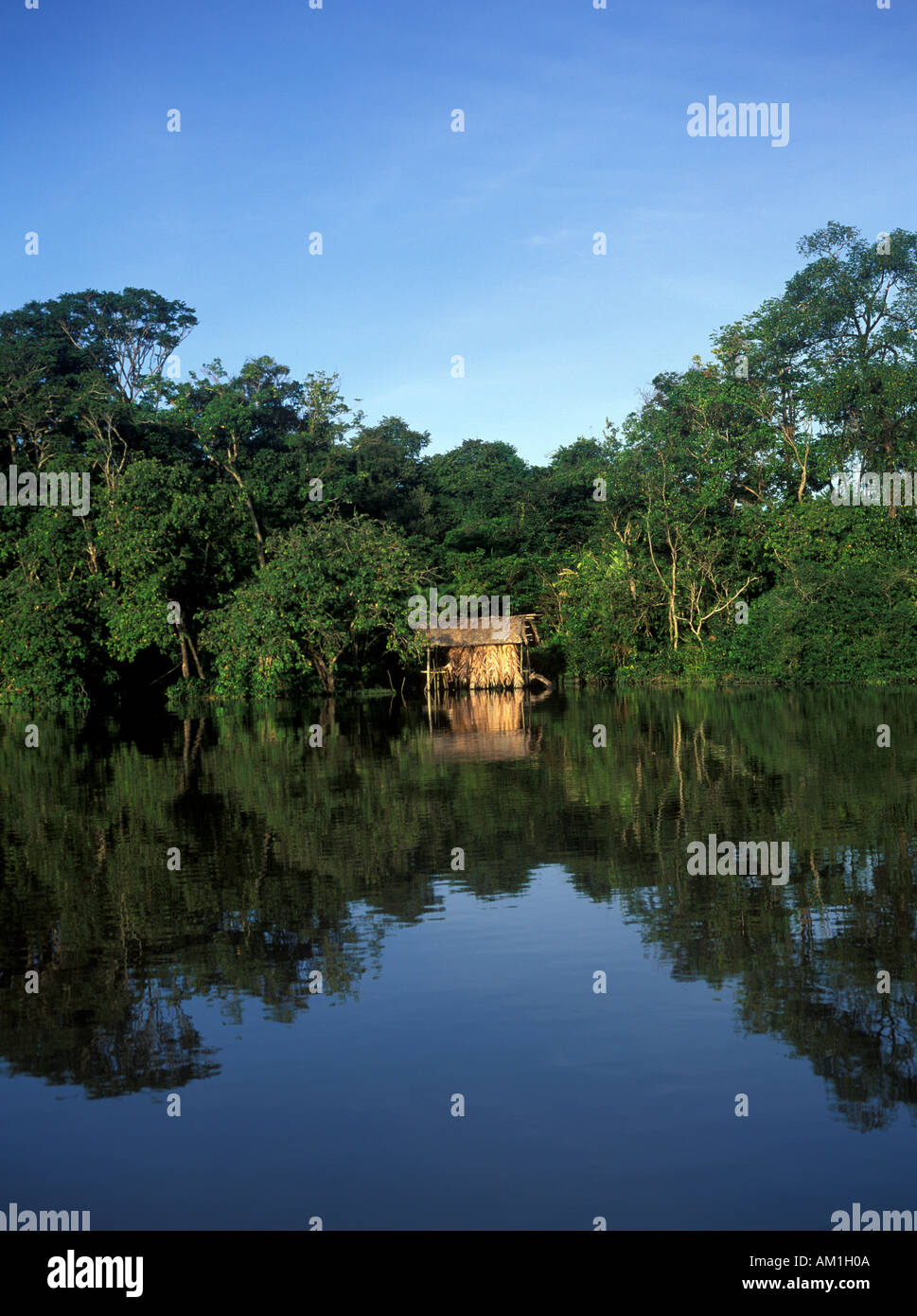 Warao House Native People of Orinoco Delta National Park Amidst Tropical Rainforest Stock Photo