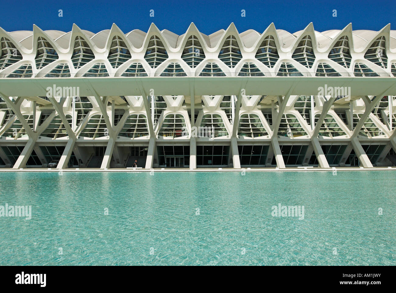 Science Museum of Principe Felipe in the City of Arts and Sciences, City of Valencia, Spain, Europe Stock Photo