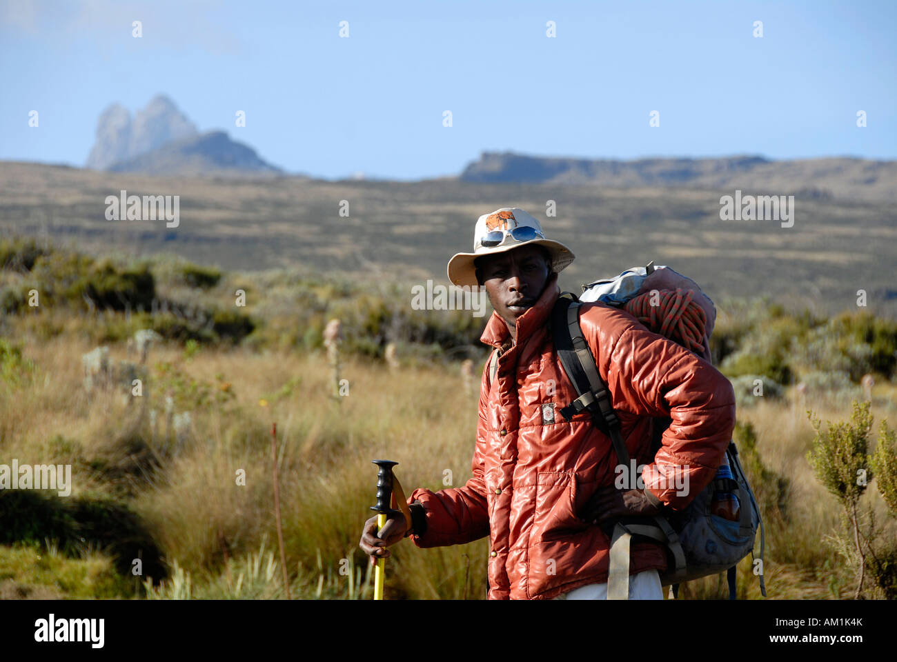Local guide in shrub landscape with summit Batian (5199 m) in the ...