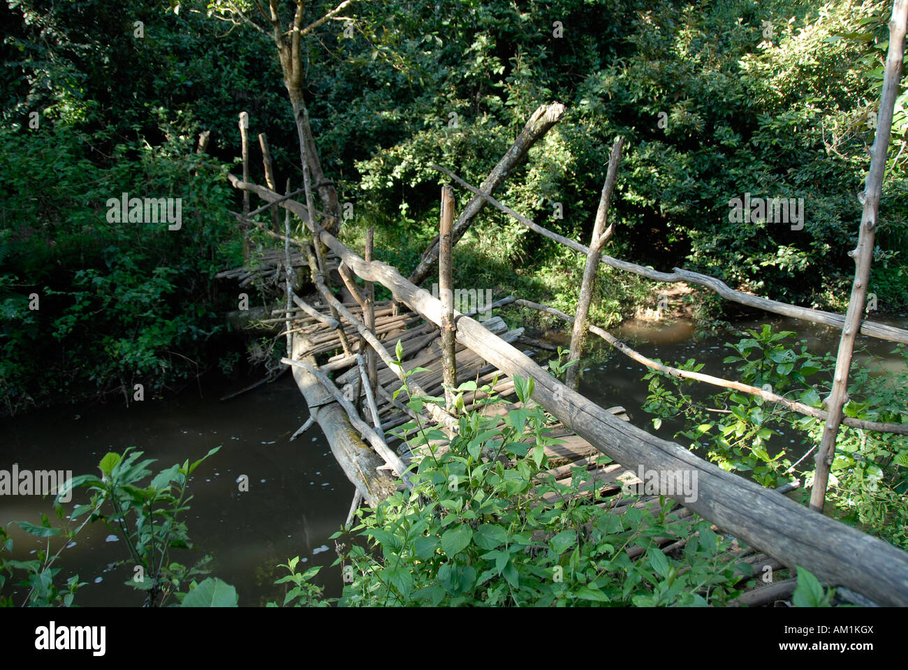 Wild wooden bridge over a creek in the jungle Mount Kenya National Park Kenya Stock Photo