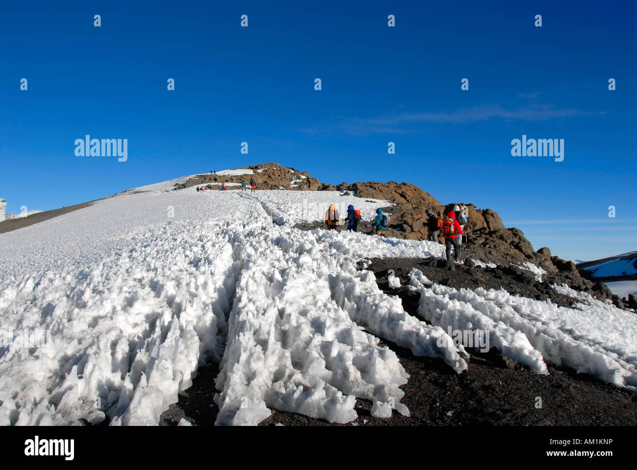 Group of mountaineers hike over harsh snow to Uhuru Peak crater rim Kilimanjaro Tanzania Stock Photo