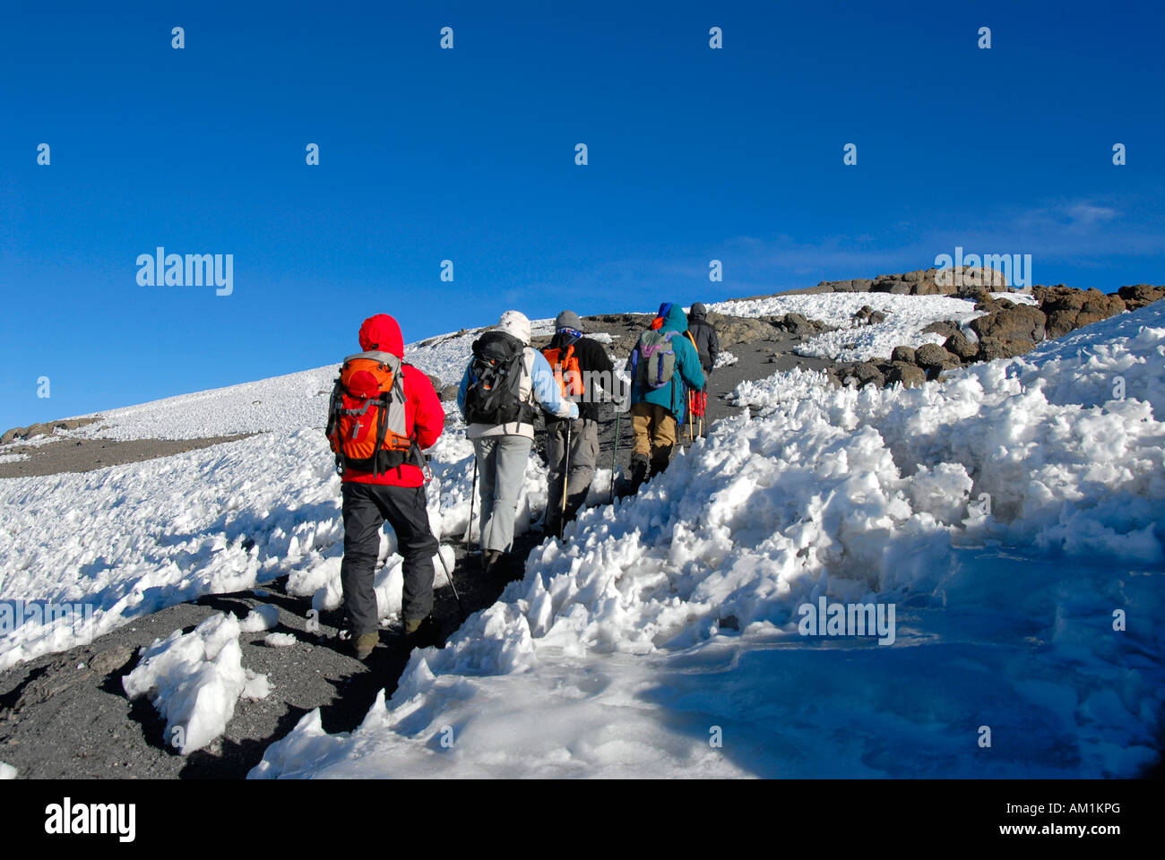 Group of mountaineers hike over harsh snow to Uhuru Peak (5895 m) crater rim Kilimanjaro Tanzania Stock Photo