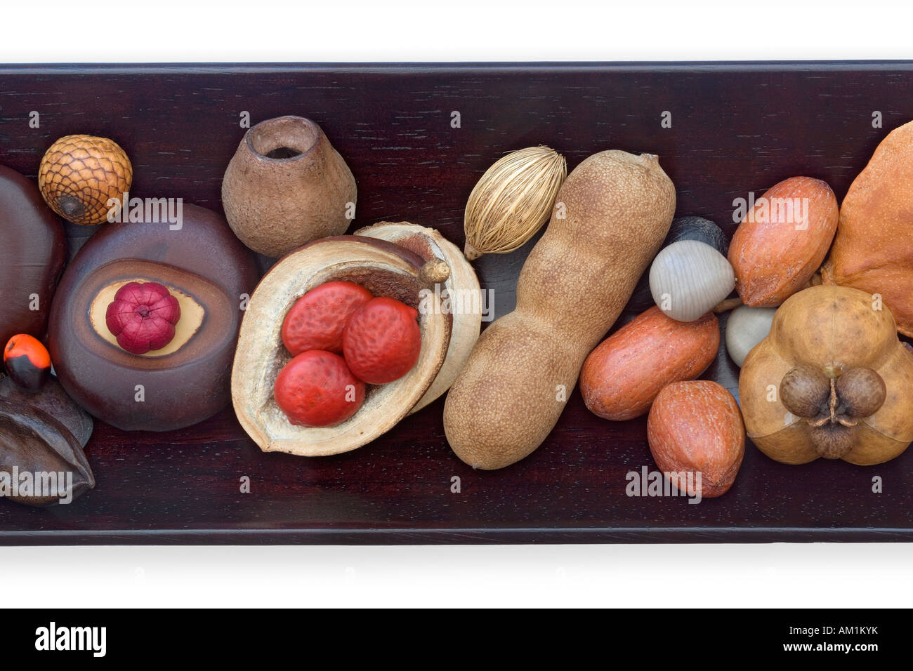 A collection of exotic seeds arranged on a wooden tray. Collection de graines exotiques disposées sur un plateau de bois foncé. Stock Photo