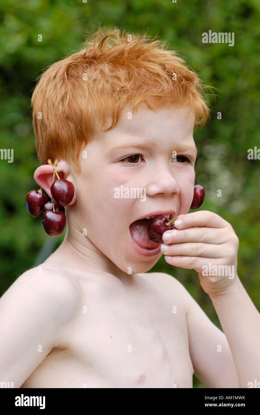 Boy enjoying cherries Stock Photo Alamy
