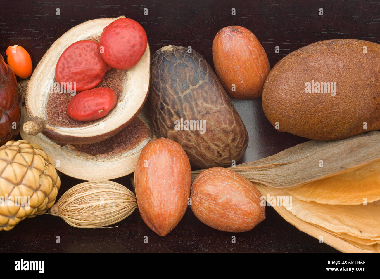 A collection of exotic seeds arranged on a wooden tray. Collection de graines exotiques disposées sur un plateau de bois foncé. Stock Photo