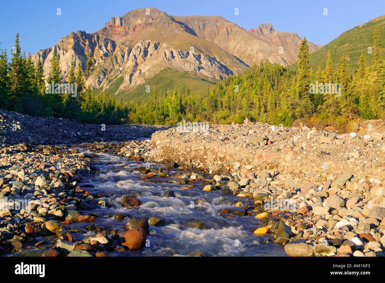 White Mountain and a creek along the Nabesna Road Wrangell St Elias