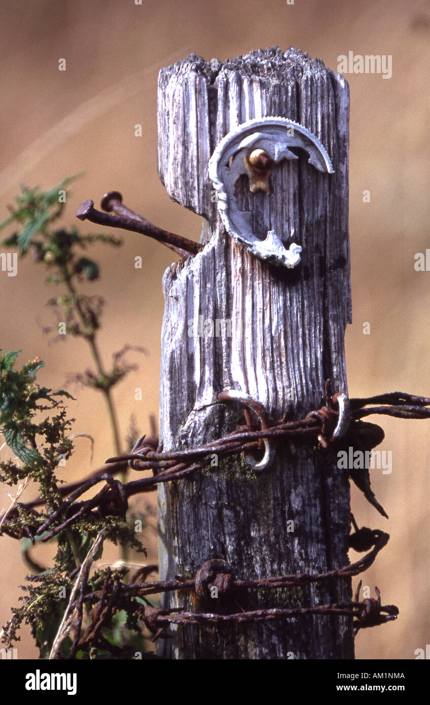 Fence post with nails hi-res stock photography and images - Alamy