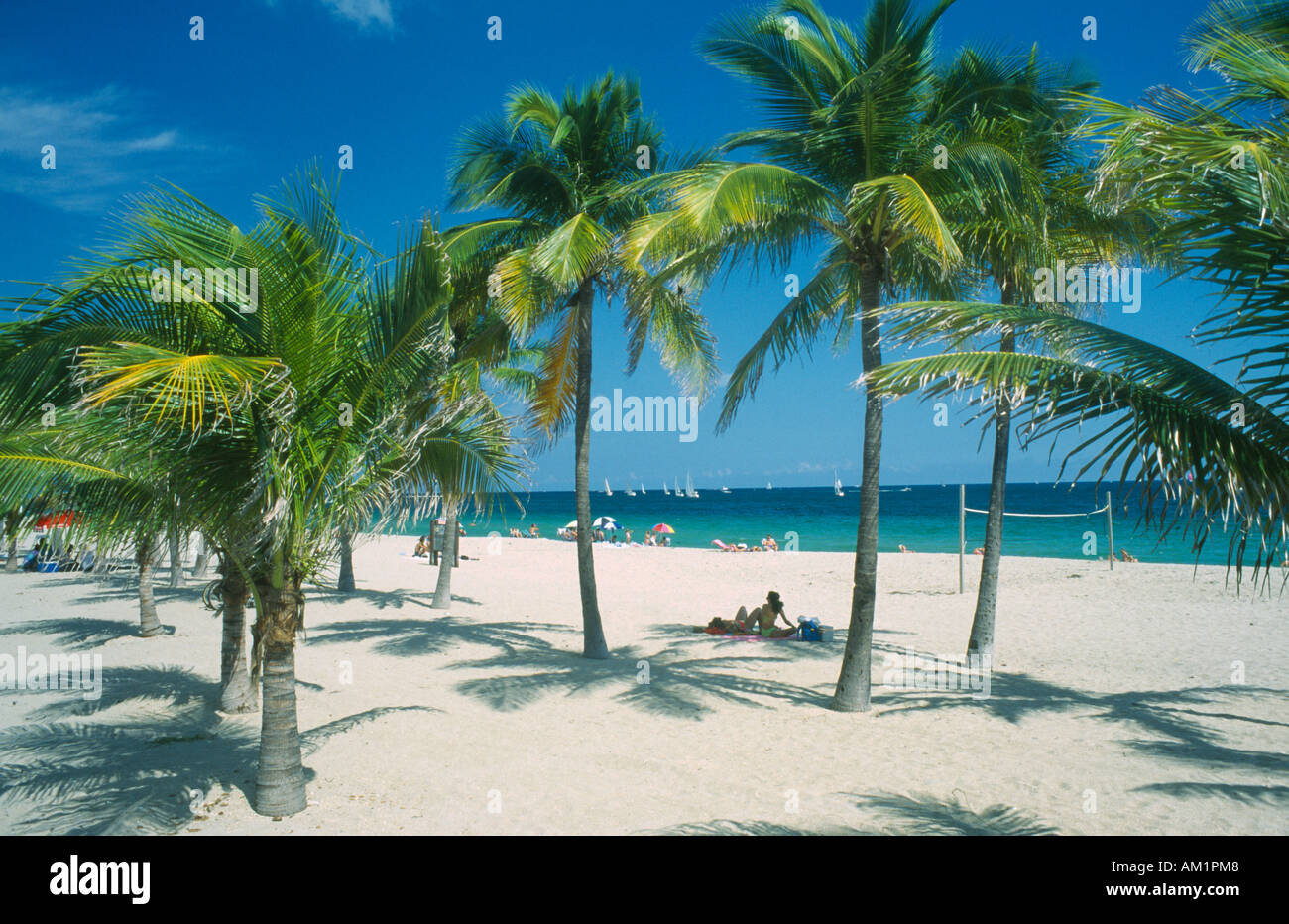 USA Florida Fort Lauderdale Palm trees and volleyball net on quiet USA Florida Fort Lauderdale Palm trees and volleyball net on quiet