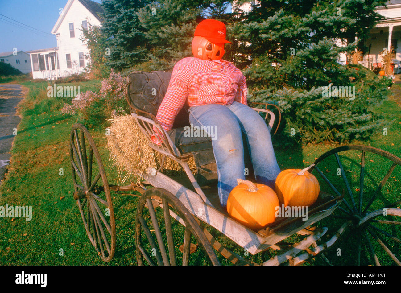 Halloween Character Sitting in Carriage New England Stock Photo
