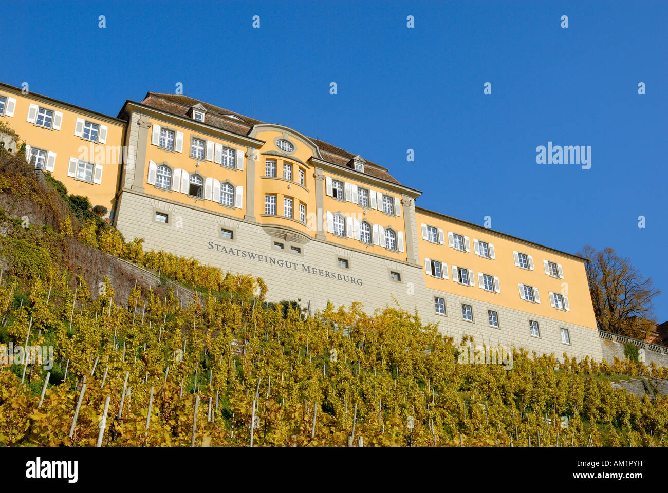 National winegrowing estate Meersburg, Lake Constance, Baden