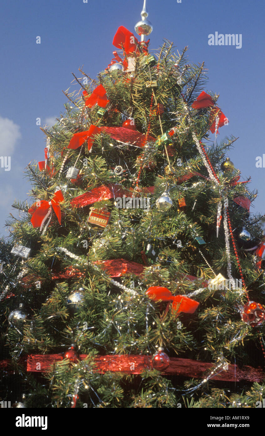 Christmas Tree Los Angeles California Stock Photo Alamy