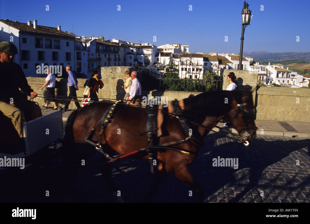 Horse carriage crossing New Bridge or Puente Nuevo RONDA Malaga province Andalusia region Spain Stock Photo