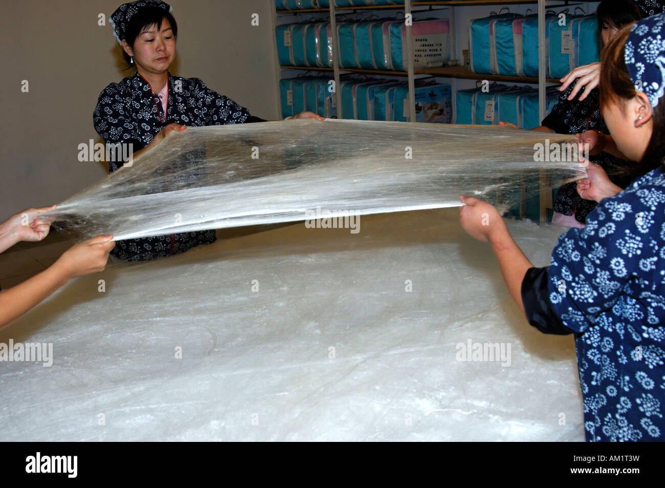 Female workers stretch a thin layer of natural silk for a silk blanket, China Stock Photo