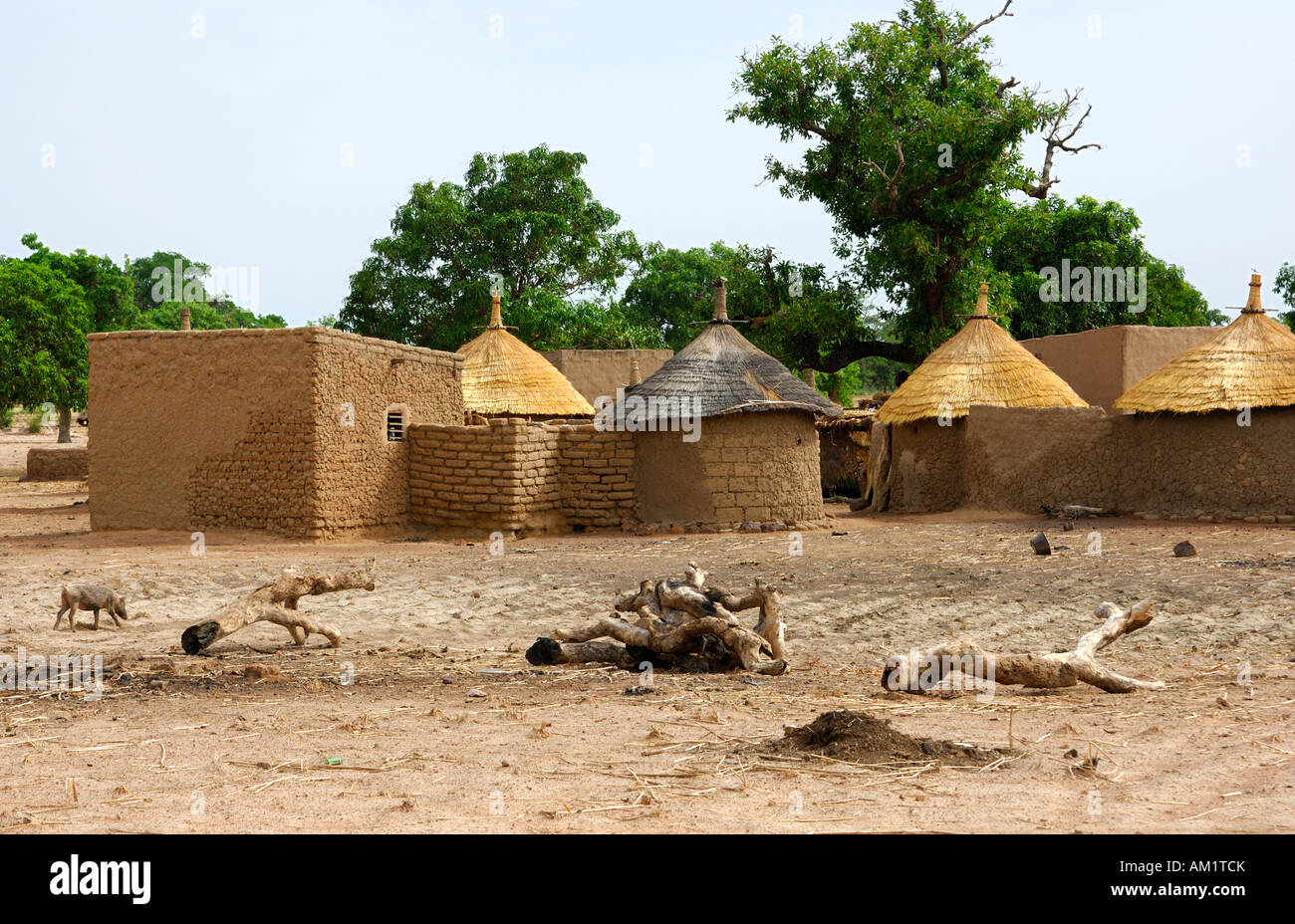 Traditional homestead with granaries, family home, fire place and pig, Burkina Faso Stock Photo
