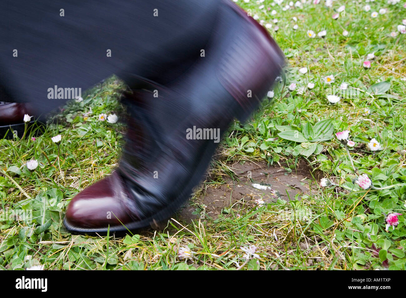shoe printing near me