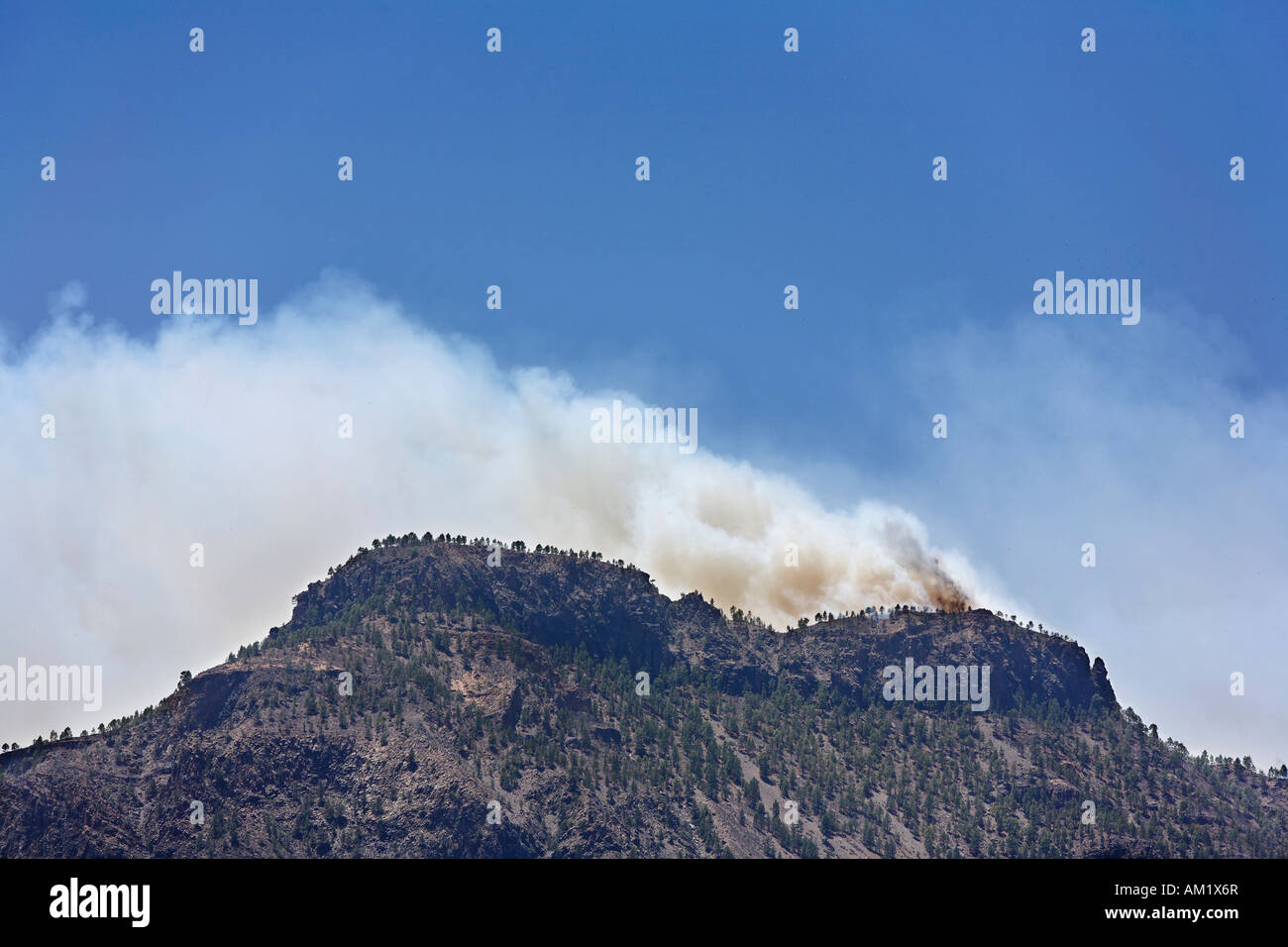 Forest fires, Gran Canaria, Spain Stock Photo