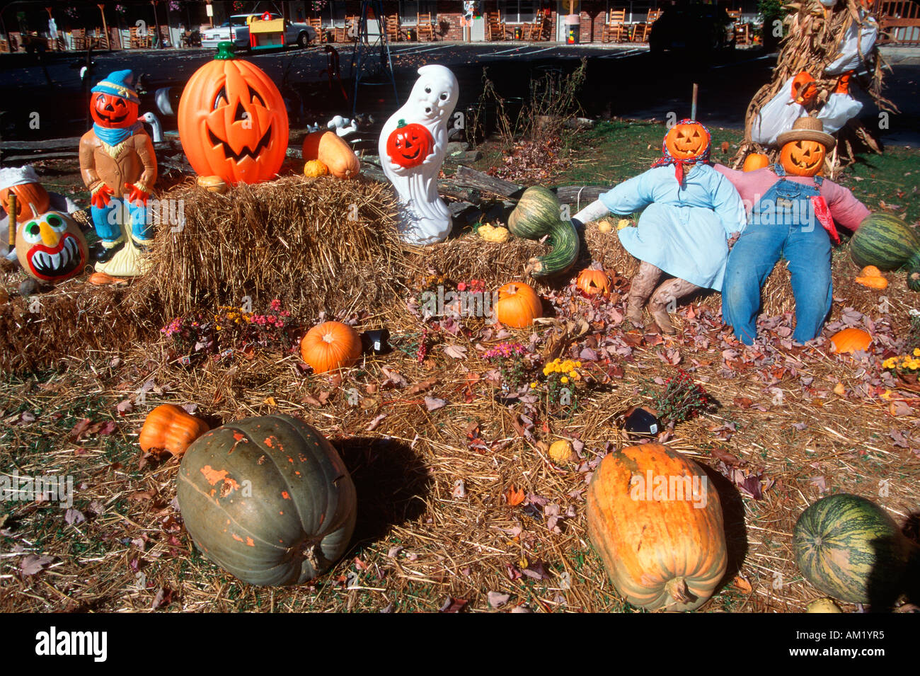 Halloween Characters in Pumpkin Patch Maggie Valley Tennessee Stock