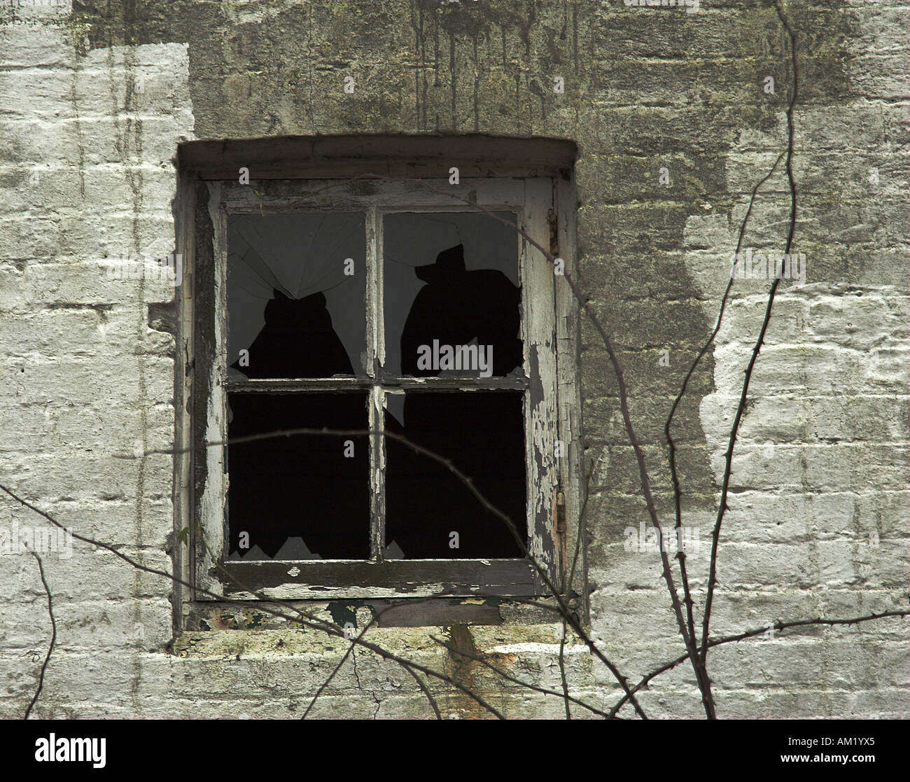 Derelict house smashed windows hires stock photography and images Alamy