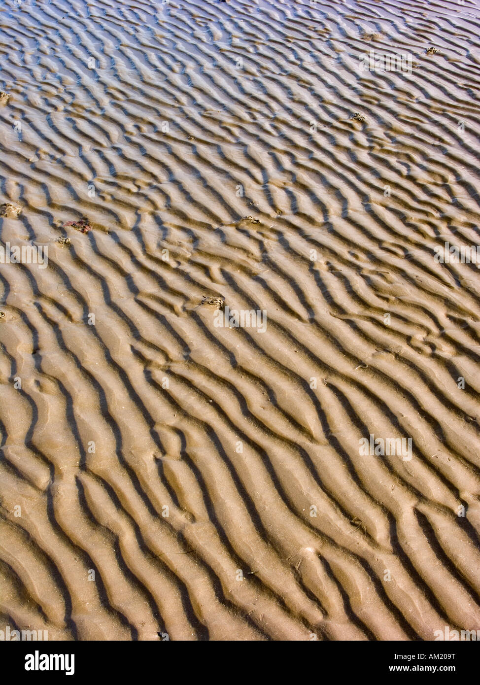 Ripples in the sand, beach along the Solway Firth, Dumfries and Galloway, Scotland Stock Photo